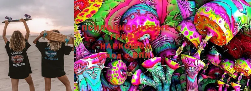 Галлюциногенные грибы Magic Shrooms  закладка  Ишим 